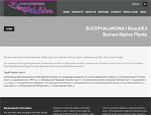 Tablet Screenshot of bucephalandra.com